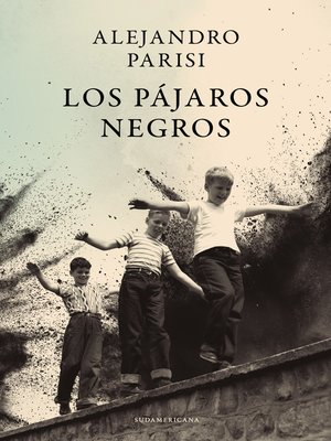 cover image of Los pájaros negros